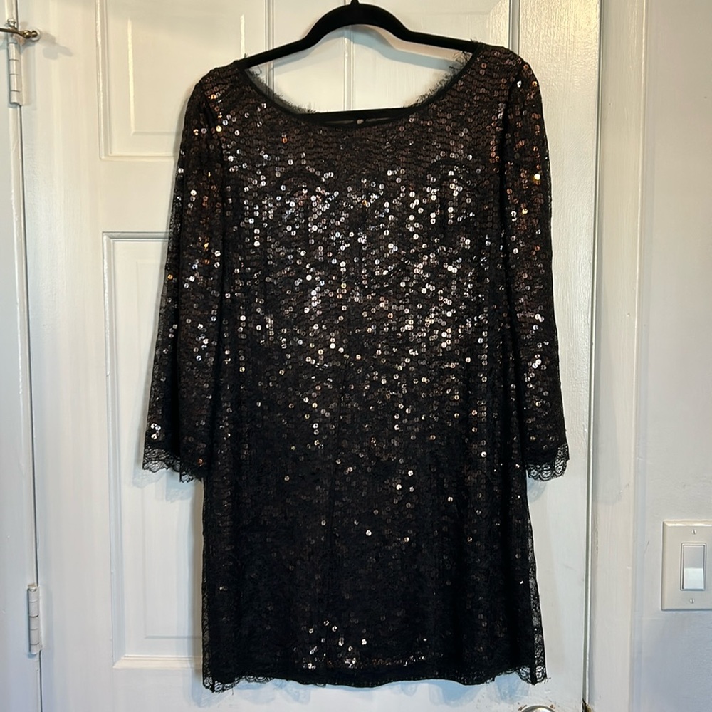 Joie sequin dress